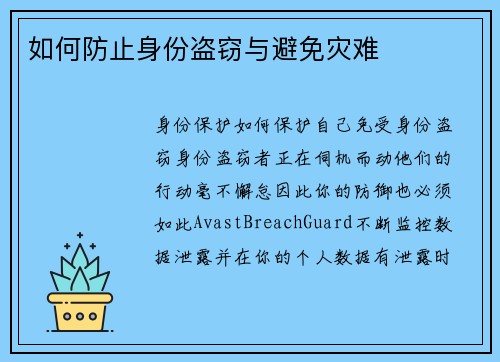 如何防止身份盗窃与避免灾难