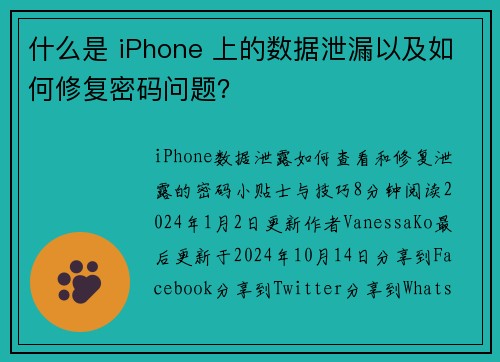什么是 iPhone 上的数据泄漏以及如何修复密码问题？