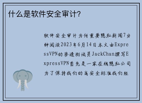 什么是软件安全审计？